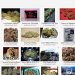 Best Darknet Marketplaces