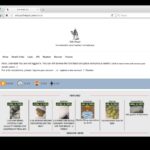 Darkfox Market Darknet