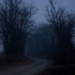 Dark Markets Bosnia