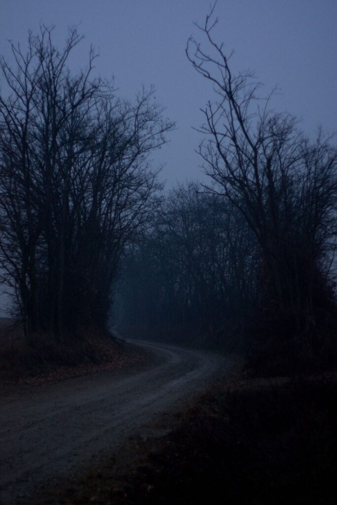 Dark Markets Bosnia