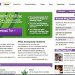 Access To The Dark Web