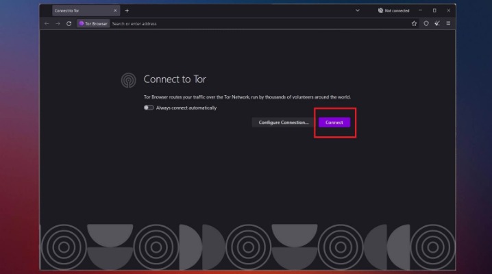 access the dark web