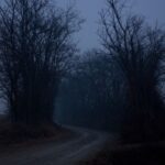 Dark Web Monitor