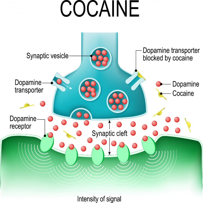 where to get cocaine