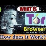 Dark Web Onion Markets