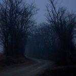 Dark Web Monitoring