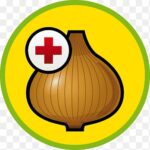 Access Darknet Android