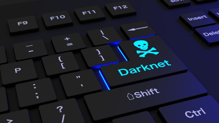 darknet search engine