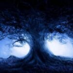 Dark Web Forum