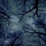 Dark Web Links 2025 Reddit