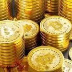 Darkfox Market Link