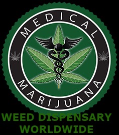 cannabis dark web