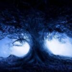 Dark Web Money Hacks