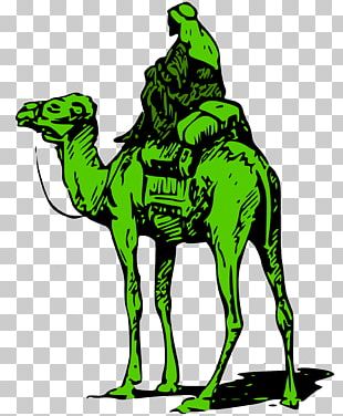 darknet bitcoin market