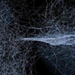 Best Dark Web Search Engine Link