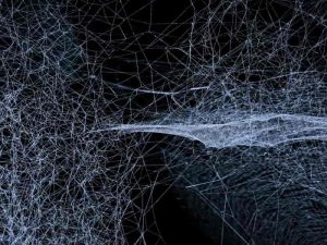 Best Dark Web Search Engine Link