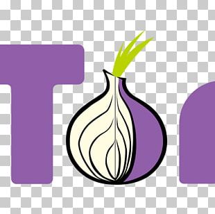 Dark Web Onion Sites